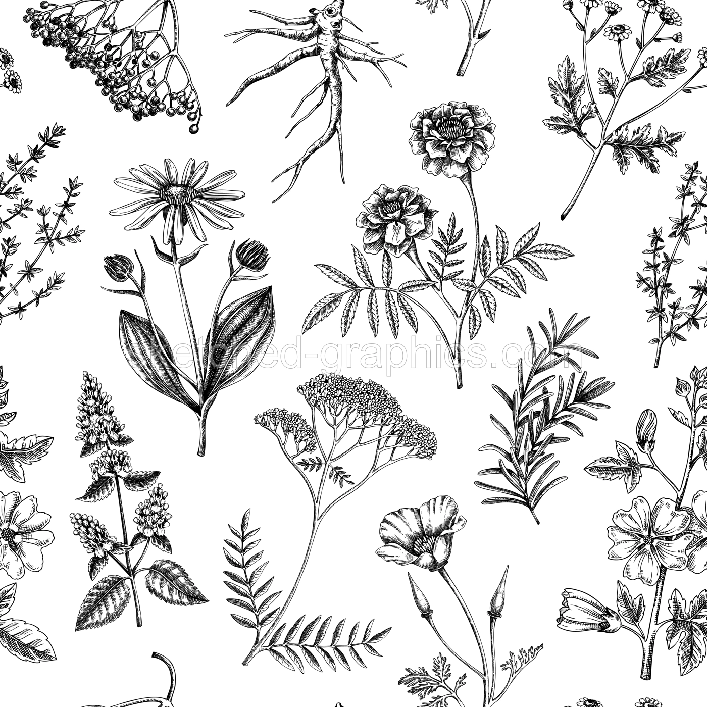 Apothecary plant background. Medicinal herbs seamless pattern. Herbal remedies, natural medicine, Healing plants sketches. Hand-drawn vector illustration.NOT AI genereted Illustration